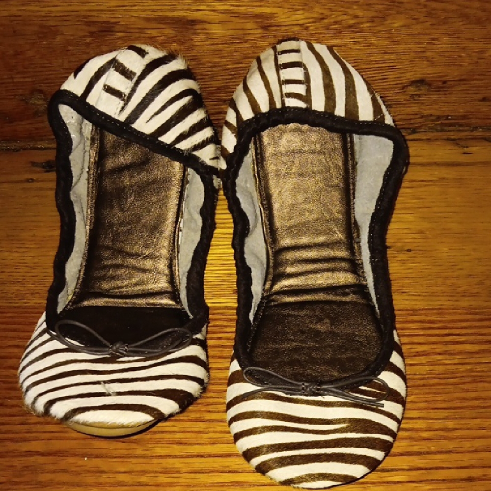 Stylish Zebra Print Women's Shoes